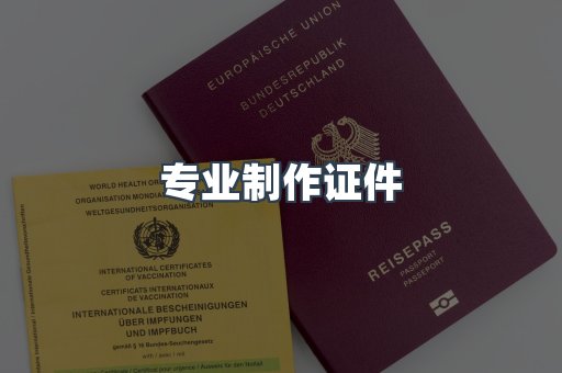 专业制作证件